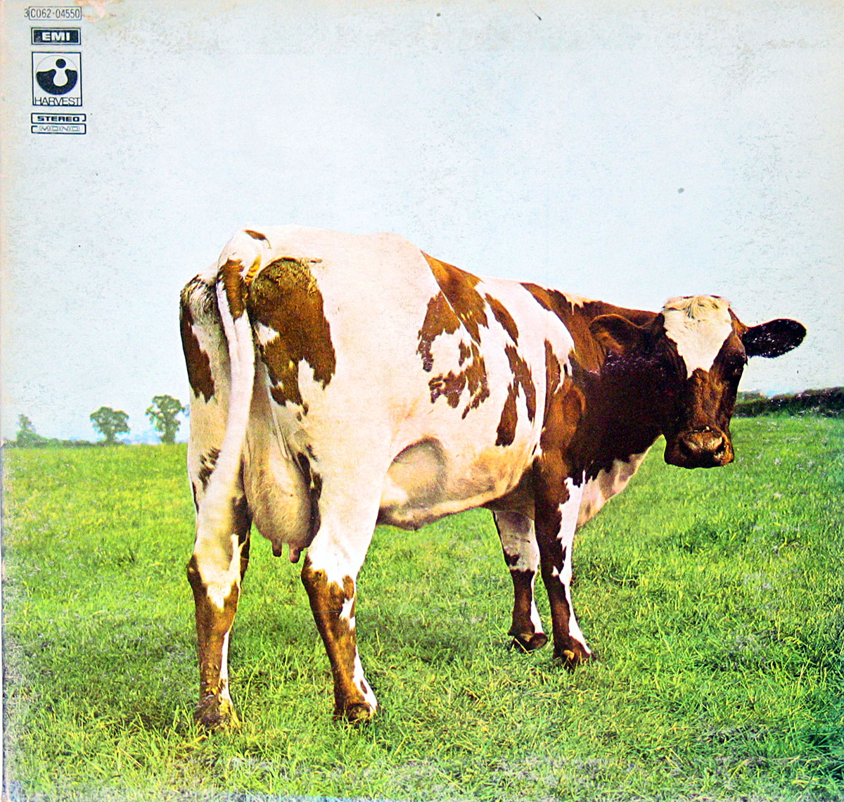 High Resolution Photo #1 PINK FLOYD Atom Heart Italy 1st2nd 